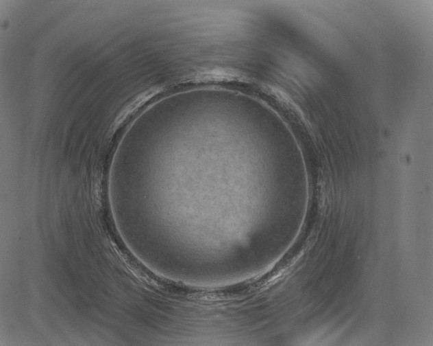 X0000085261217200703091315