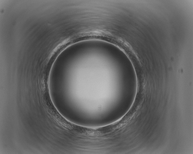 X0000085261218200703091315