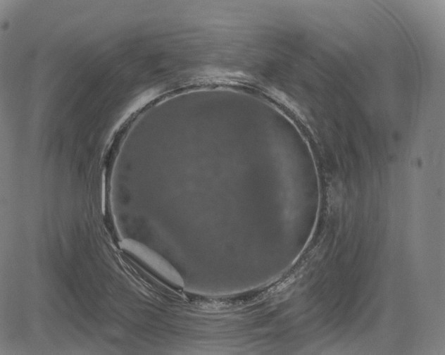 X0000085261219200703091315