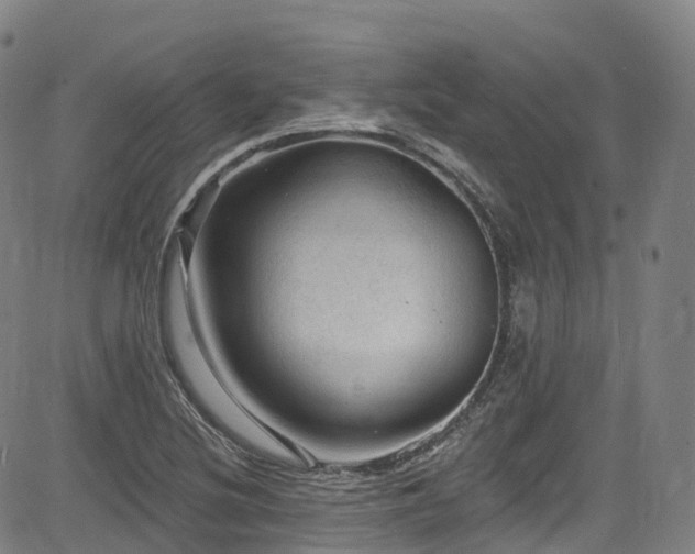 X0000085261220200703091315