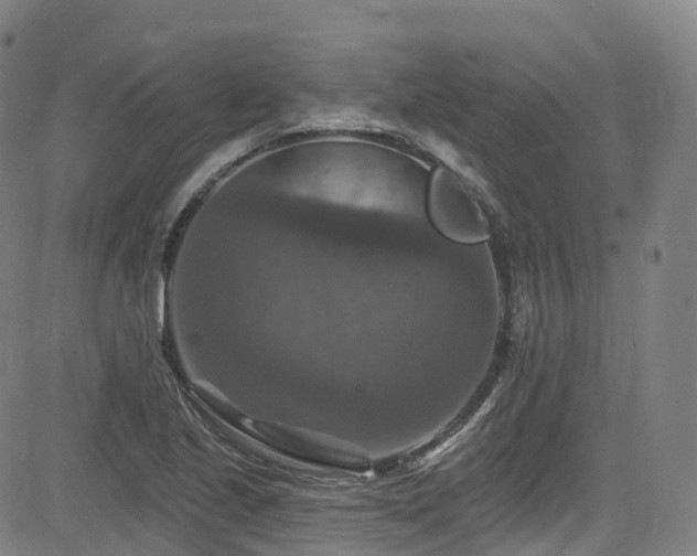 X0000085261221200703091315