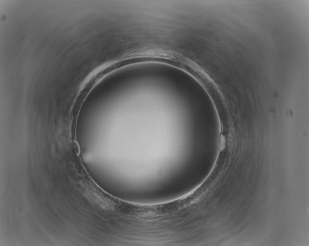 X0000085261222200703091315