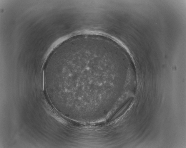 X0000085261223200703091315