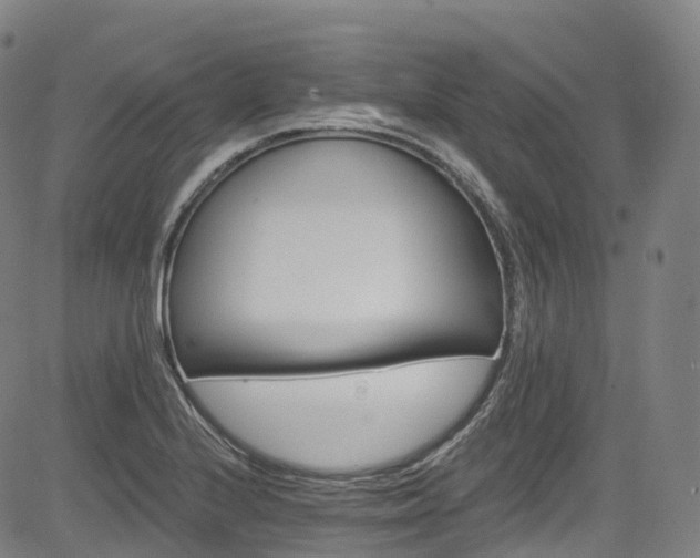 X0000085261224200703091315