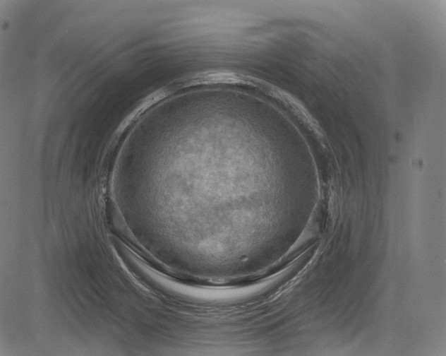 X0000085261225200703091315