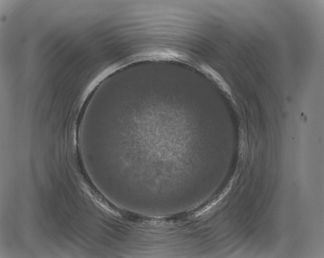 X0000085261226200703091315