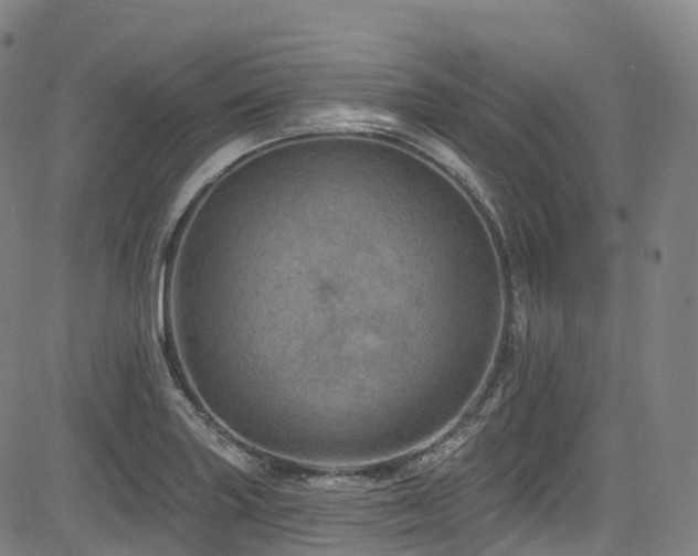 X0000085261227200703091315