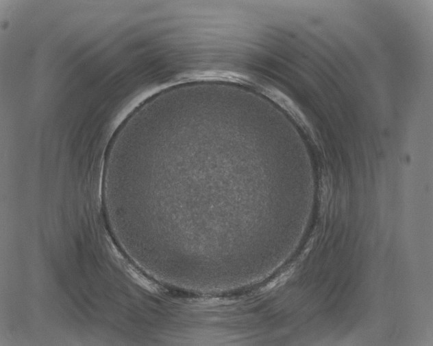 X0000085261228200703091315