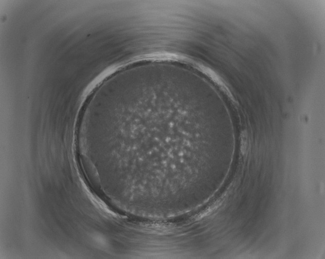 X0000085261229200703091315