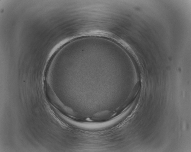 X0000085261230200703091315