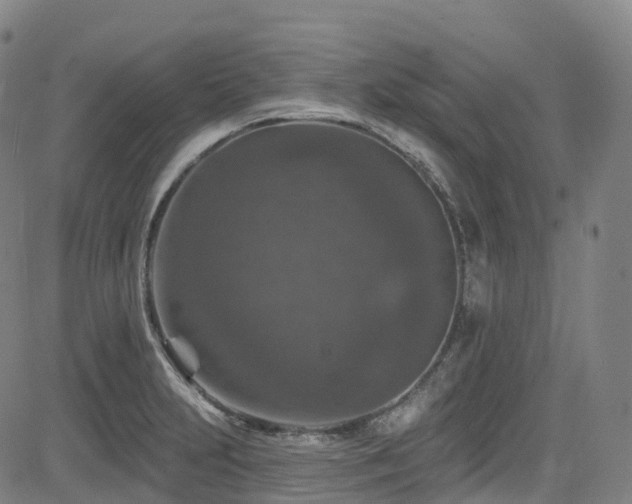 X0000085261231200703091315