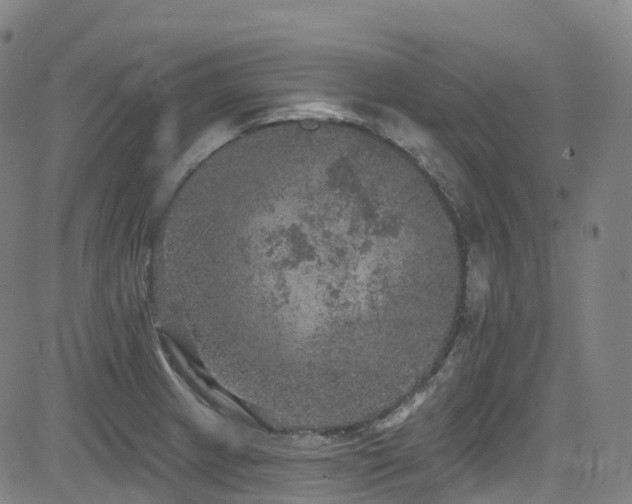 X0000085261233200703091315