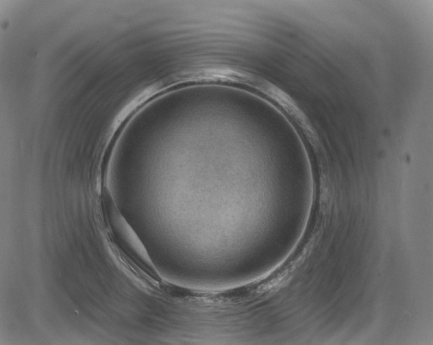 X0000085261234200703091315