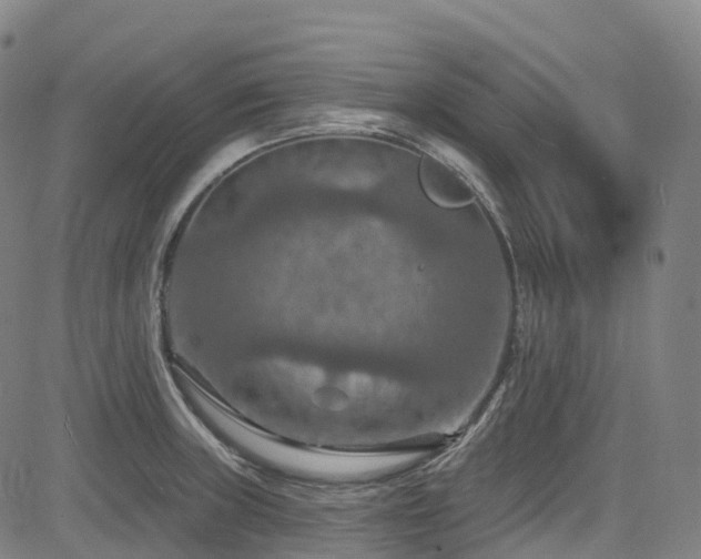 X0000085261235200703091315