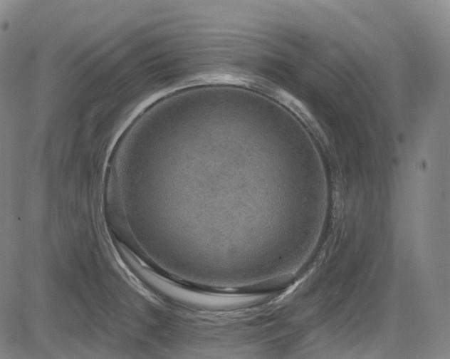 X0000085261236200703091315