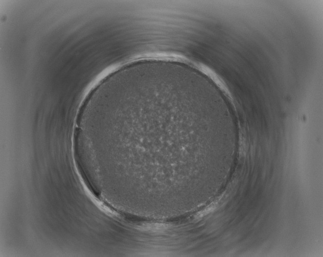 X0000085261237200703091315