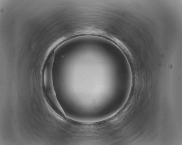 X0000085261238200703091315