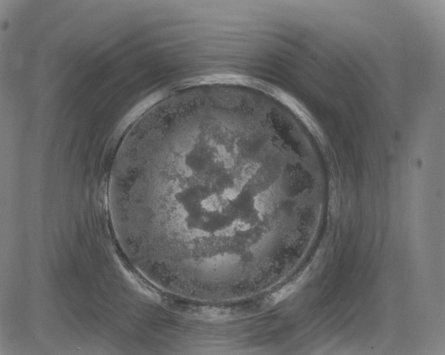 X0000085261241200703091315