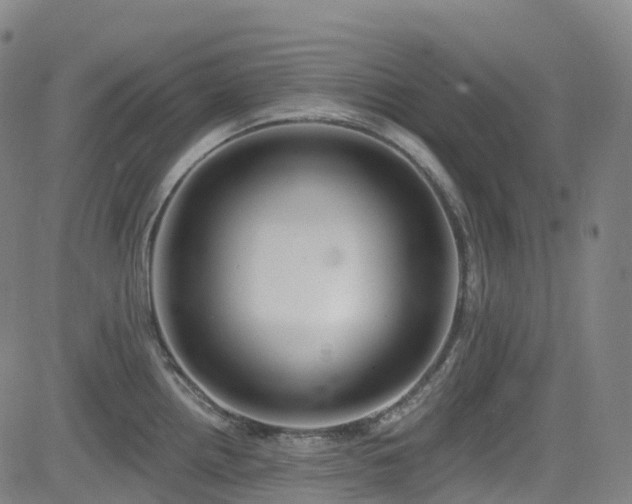 X0000085261242200703091315