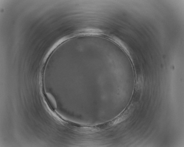 X0000085261243200703091315