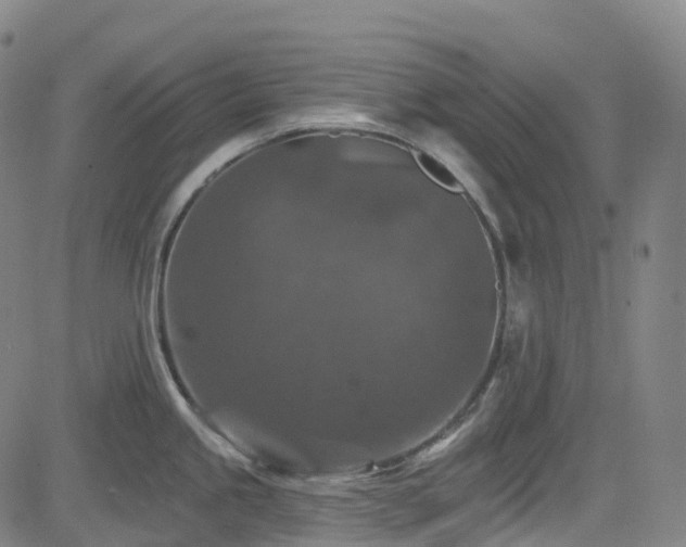 X0000085261245200703091315