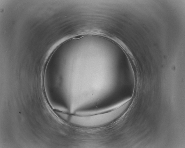 X0000085261246200703091315