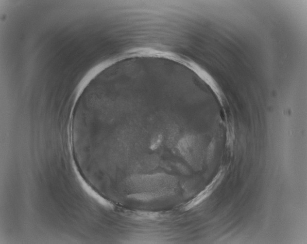 X0000085261247200703091315