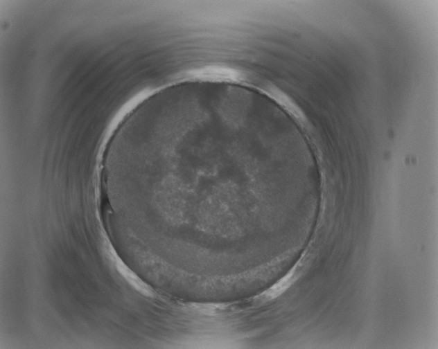 X0000085261248200703091315