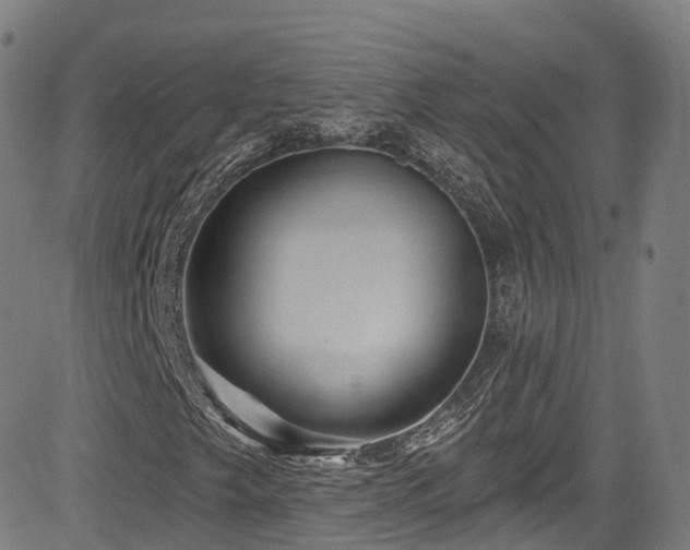 X0000085261249200703091315