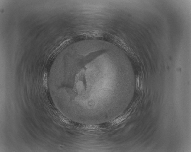 X0000085261251200703091315