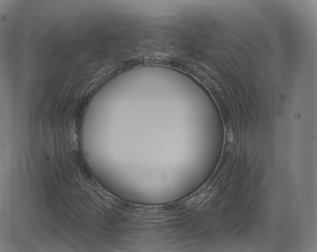 X0000085261252200703091315