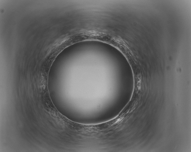 X0000085261253200703091315