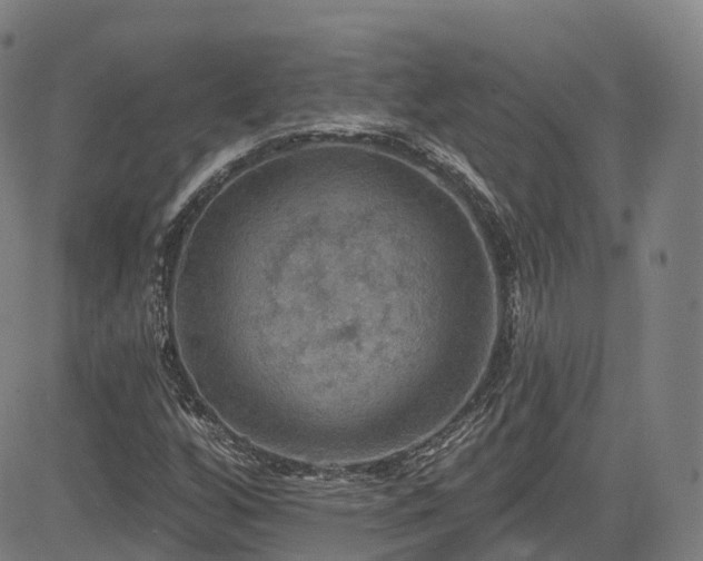 X0000085261256200703091314