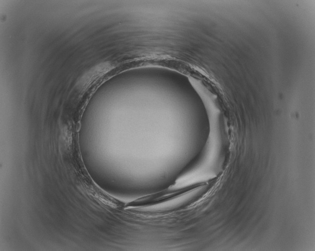 X0000085261257200703091314