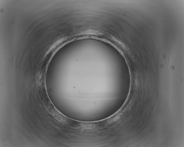 X0000085261258200703091314