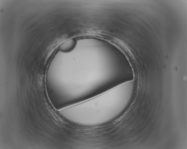 X0000085261260200703091314