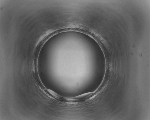 X0000085261262200703091314