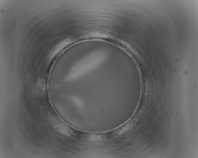 X0000085261266200703091314