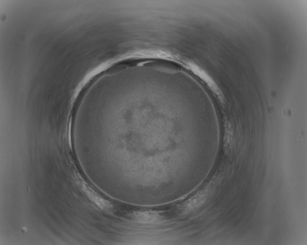 X0000085261272200703091314