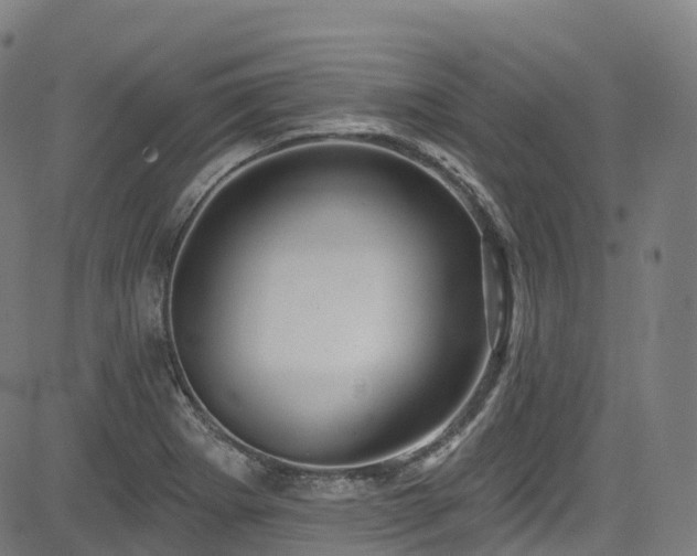 X0000085261273200703091314