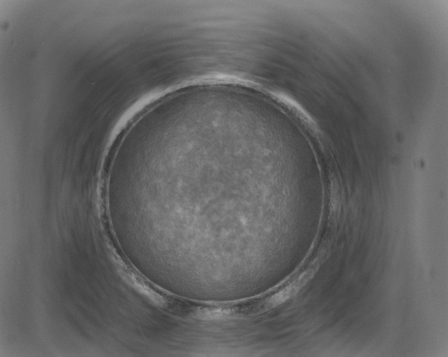 X0000085261278200703091314