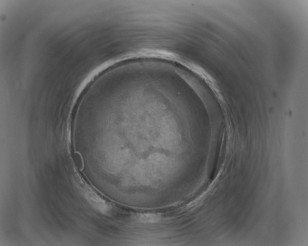 X0000085261280200703091314