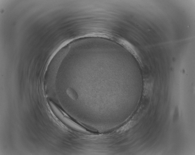 X0000085261284200703091314