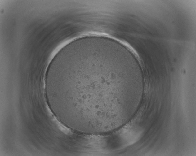 X0000085261287200703091314