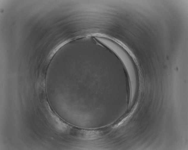 X0000085261289200703091314