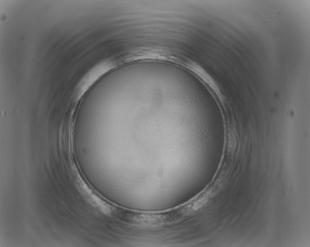 X0000085261290200703091314