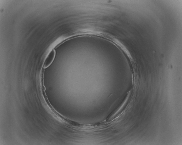 X0000085261291200703091314