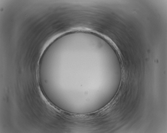 X0000085261295200703091314