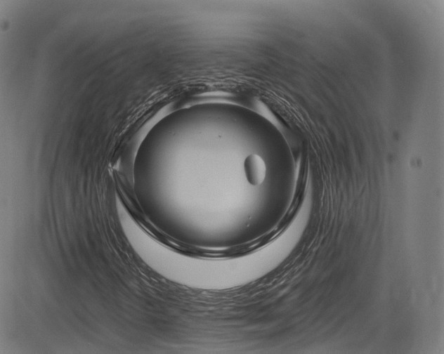 X0000085261298200703091313