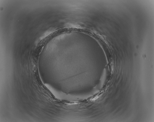 X0000085261303200703091313